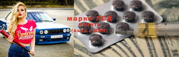 шишки Баксан