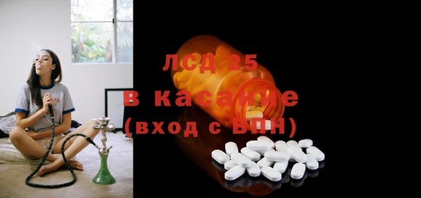 шишки Баксан