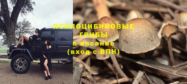 мет Балахна