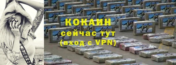 шишки Баксан