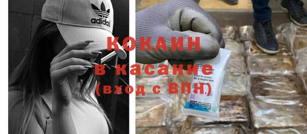 шишки Баксан